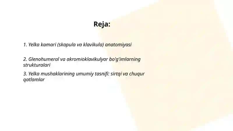 Yelka kamari va Yelka mushaklari 2