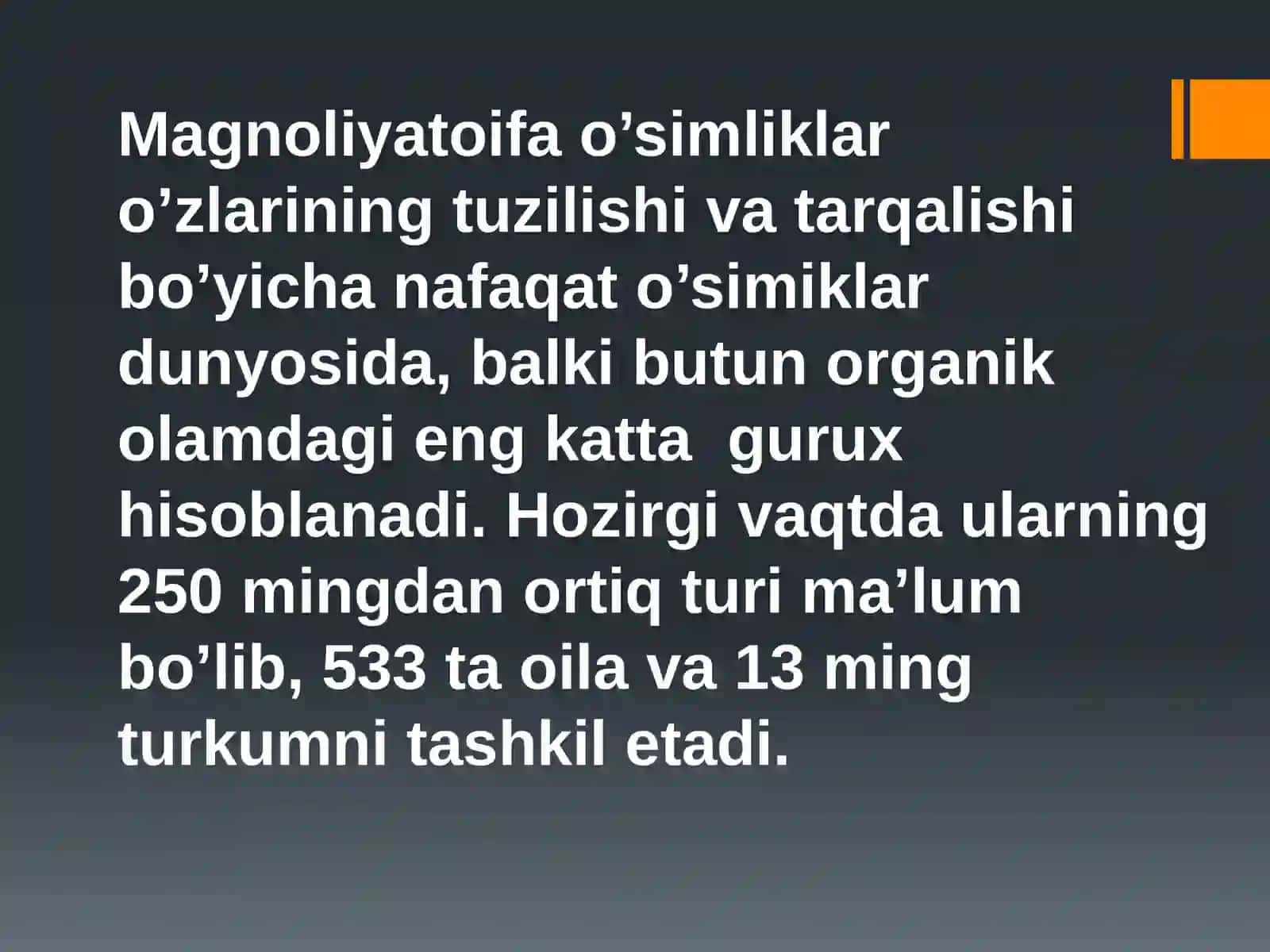 Magnoliyadoshlaroilasi 2