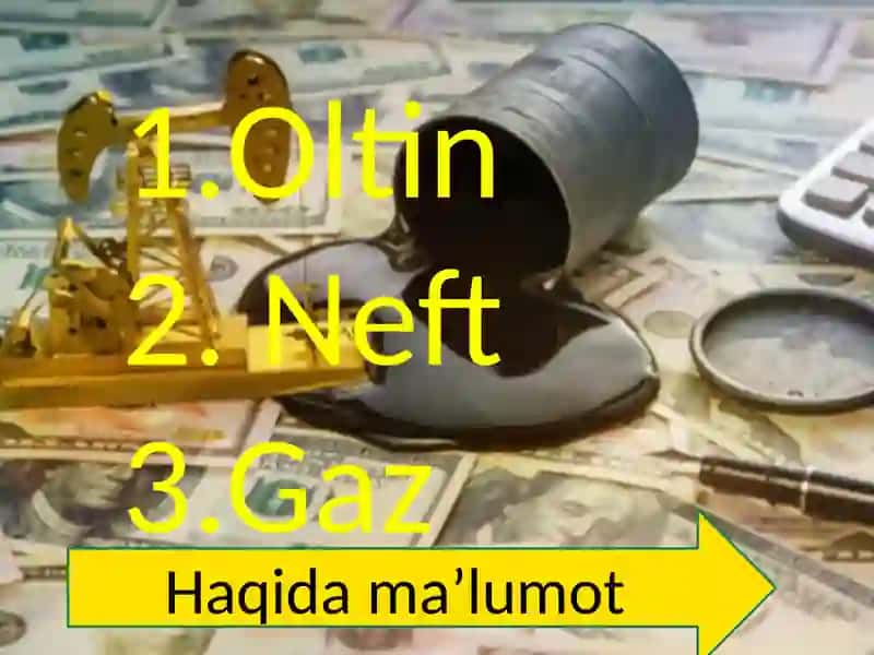 Oʻzbekistonning tabiiy boyliklari. Taqdimot 2