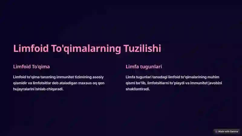 Limfoid To'qimalarning Tuzilishi 2