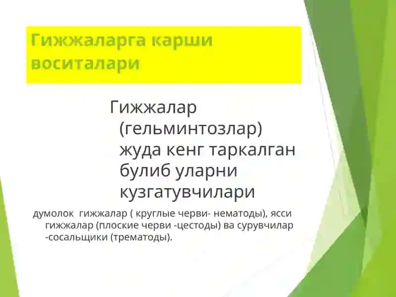 Гижжаларга карши воситалари 2