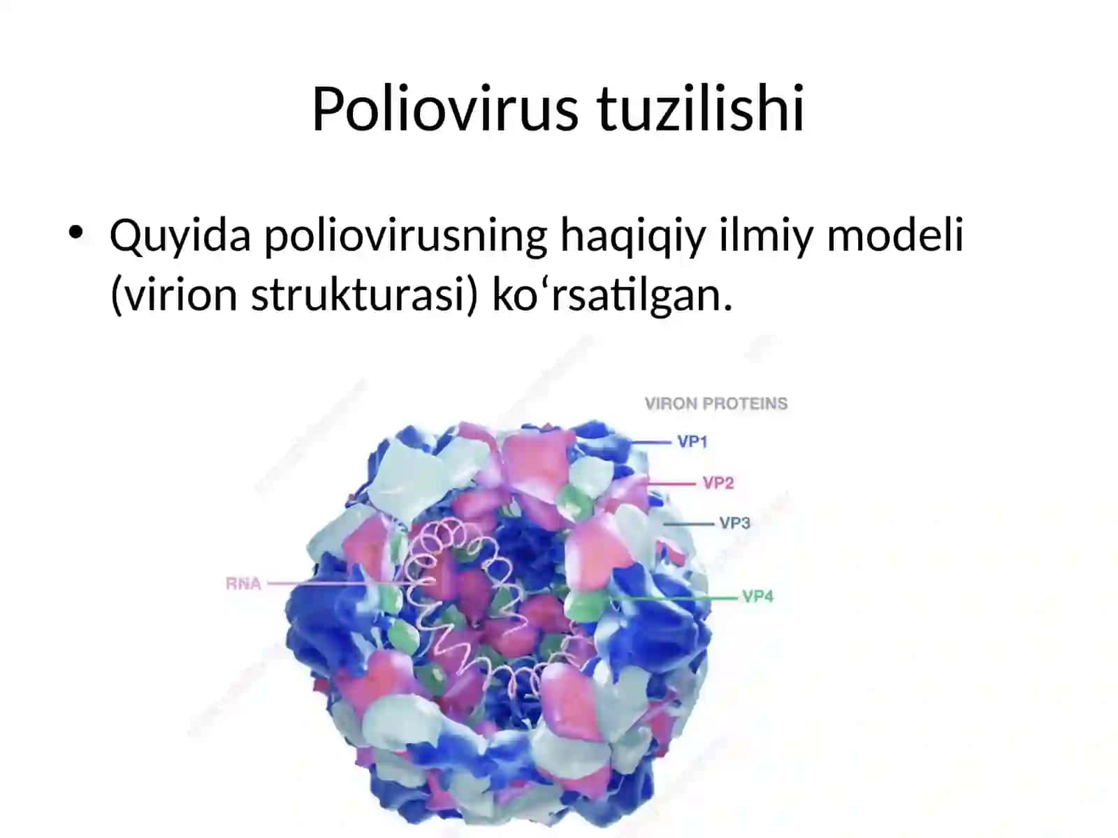 Poliomiyelit kasalligi 2