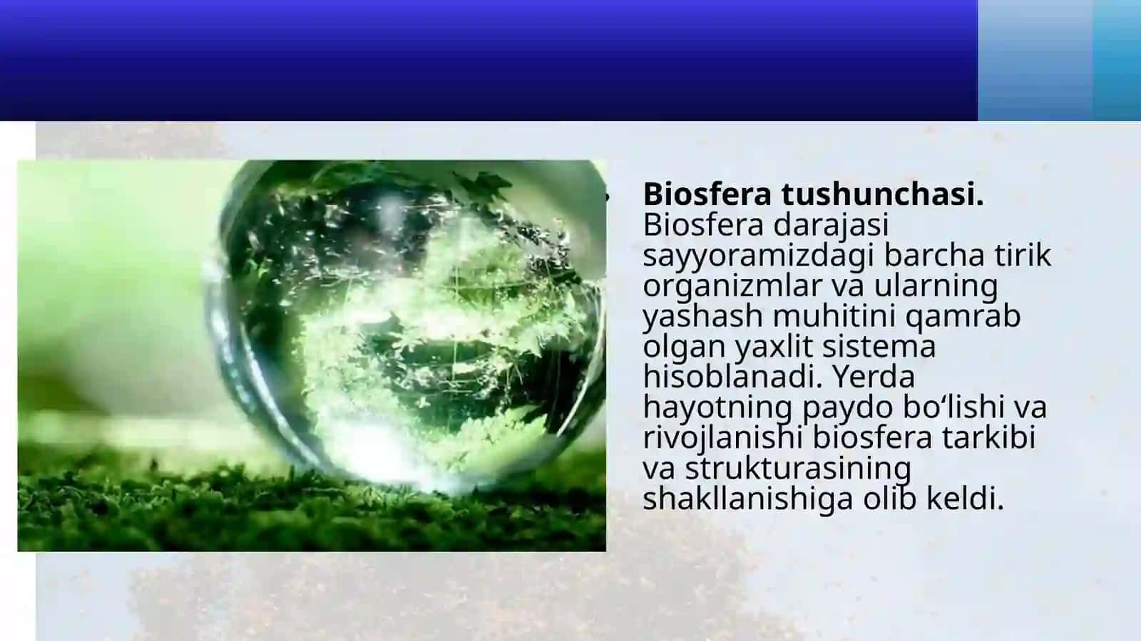 BIOSFERA DARAJASINING XUSUSIYATLARI. BIOSFERA HAQIDA TA’LIMOT 2