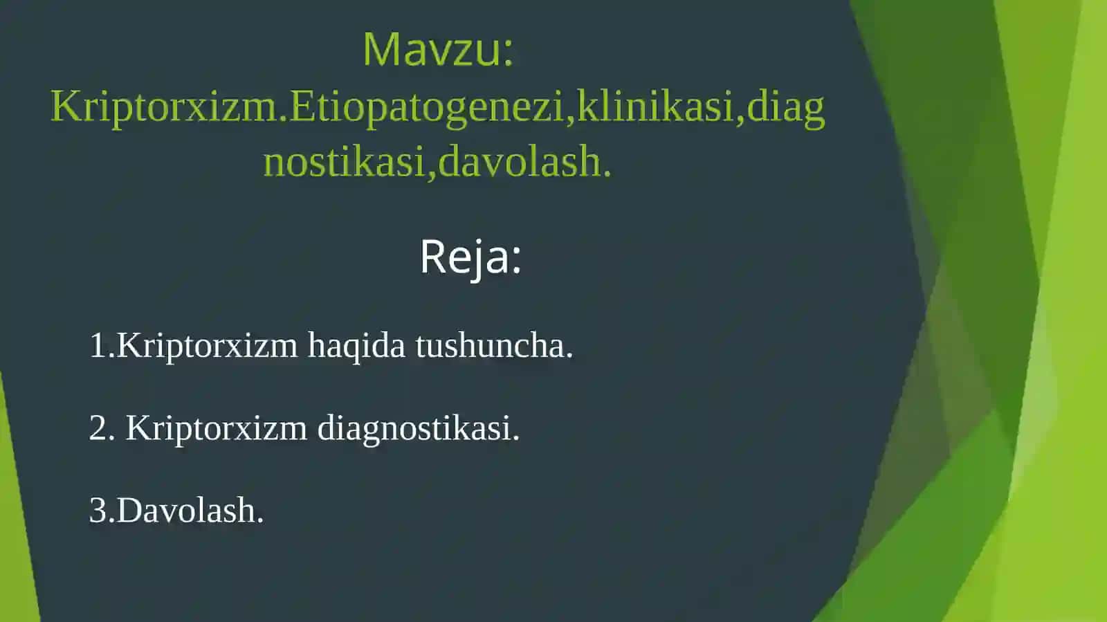 Kriptorxizm 2