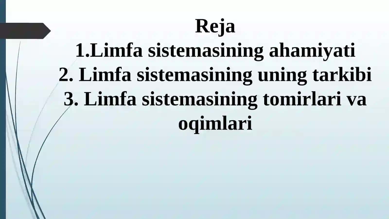Limfa sistemasi: organizmning muhim qismi 2