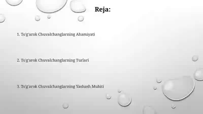 To'garak chuvalchanglar 2