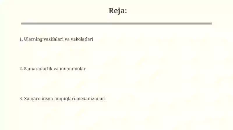 Inson huquqlari boʻyicha xalqaro mexanizmlar 2