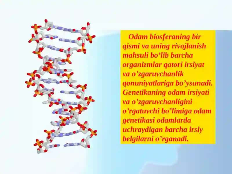 Odam genetikasi 2
