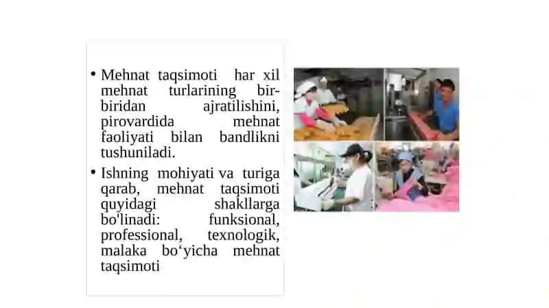 Mehnat taqsimoti va kooperatsiyasi 2