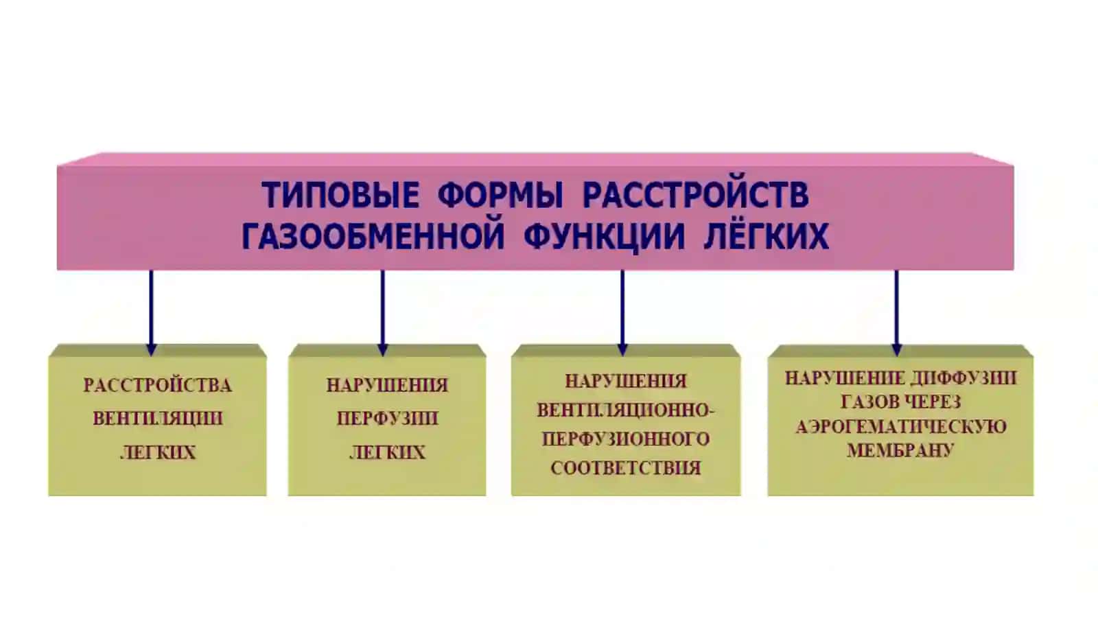 Патофизиология дыхательнойсистемы 2