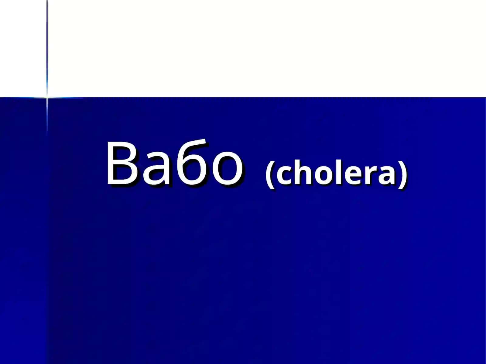 Vabo 2