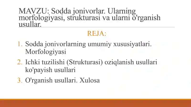 Soddajonivorlar 2