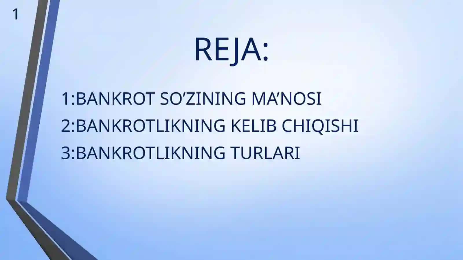 BANKROTLIK TUSHUNCHASI 2