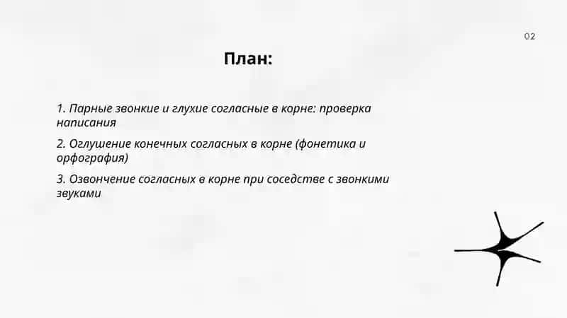Правописание согласных в корне слов 2