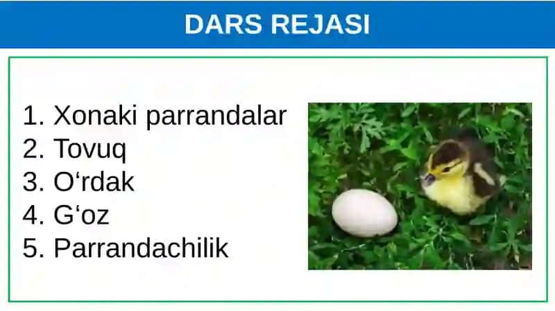 Biologiya DARS REJASI 2