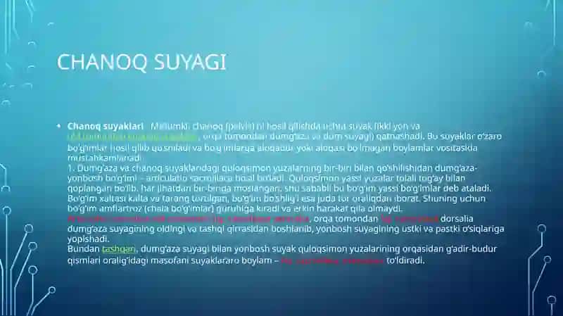 Chanoq suyagi 2