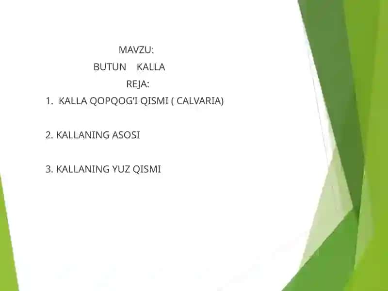 Butun Kalla 2