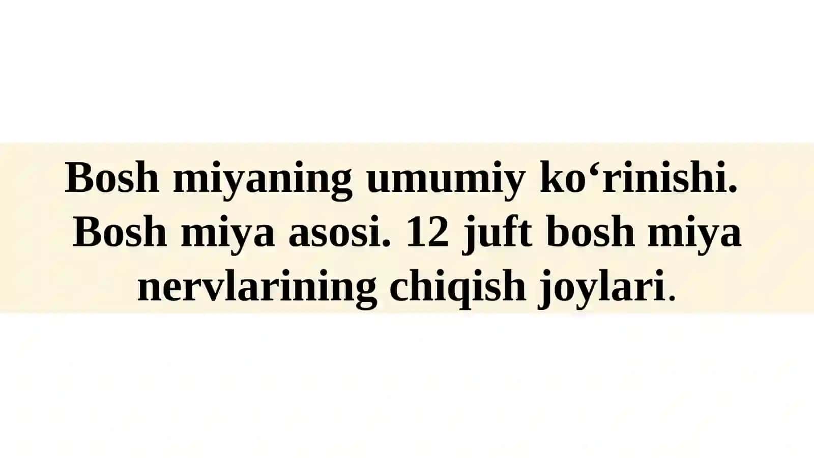 Boshmiyaning umumiy koʻrinishi 2