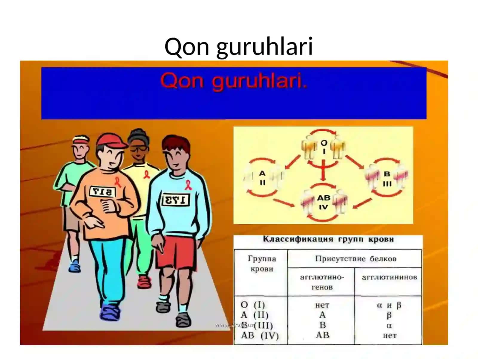 Qonguruhlari.Rezusfaktor.Qonquyishasoslari 2