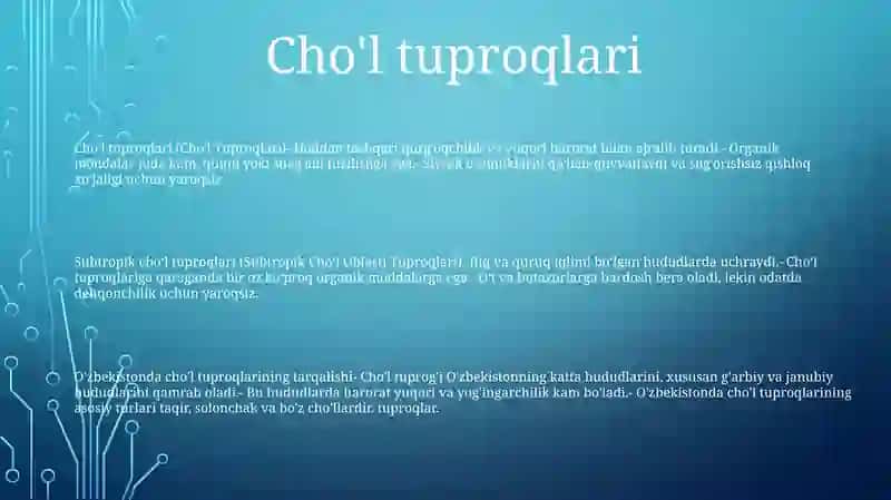 Subtropik choʻl tuproqlari 2