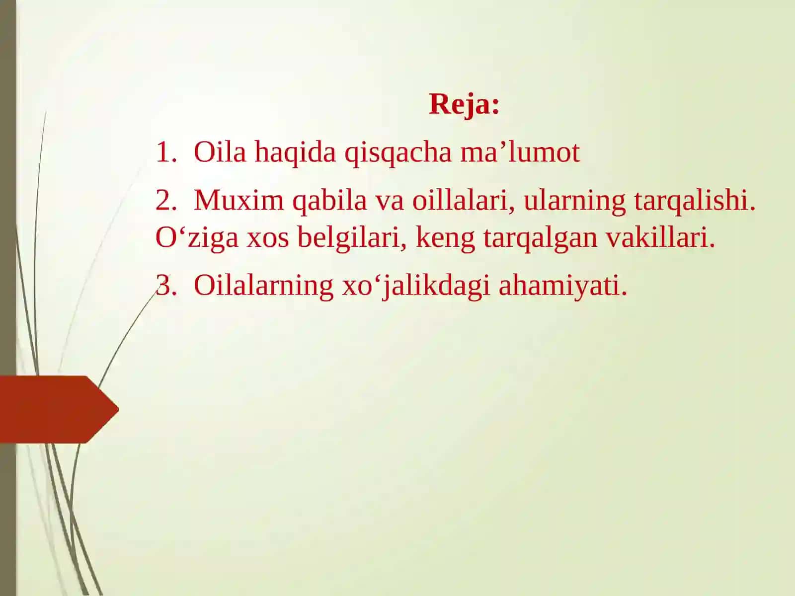 Yalpiz kabilar sinfchasi 2