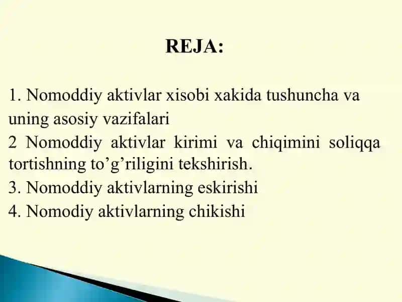 Nomoddiy aktivlar auditini tashkiln etish va o’tkazish tartibi 2