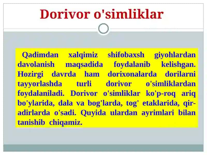 Dorivor o'simliklar 2