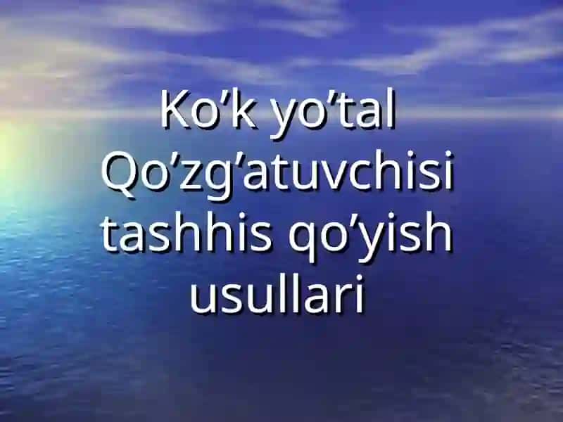 Ko’kyo’tal qo’zg’atuvchisitashhis 2