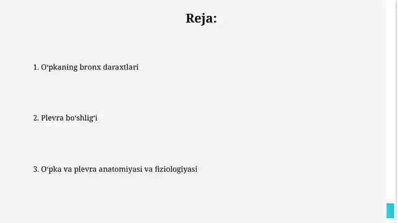 Kekirdak bronxlar o'pka.Plerva ko'sk oralig'i 2
