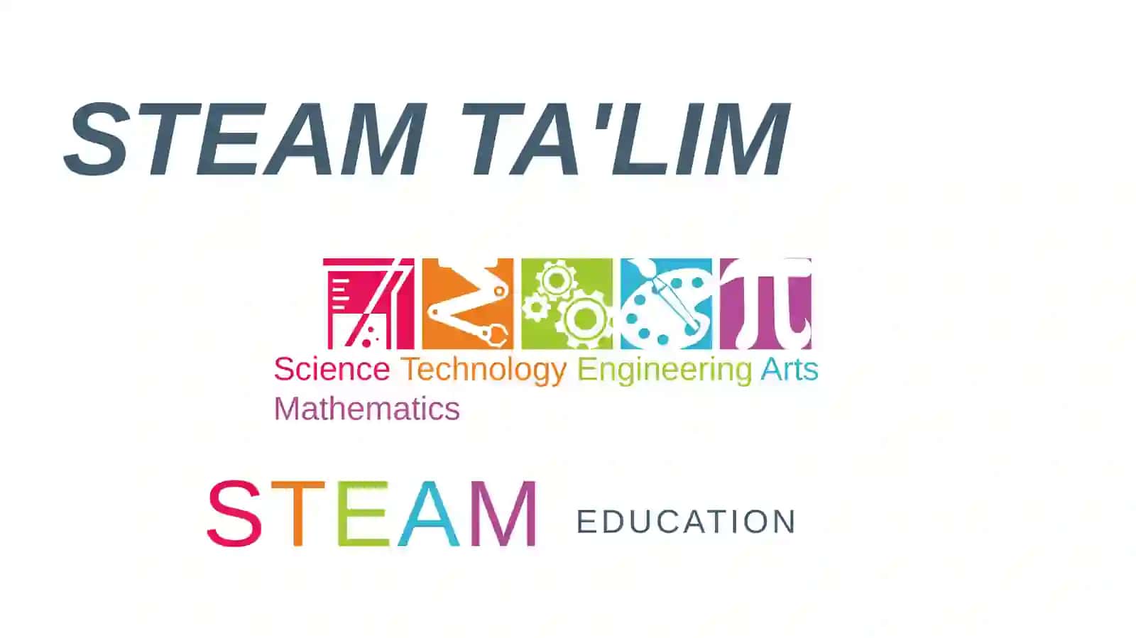 STEAM ta'lim 2