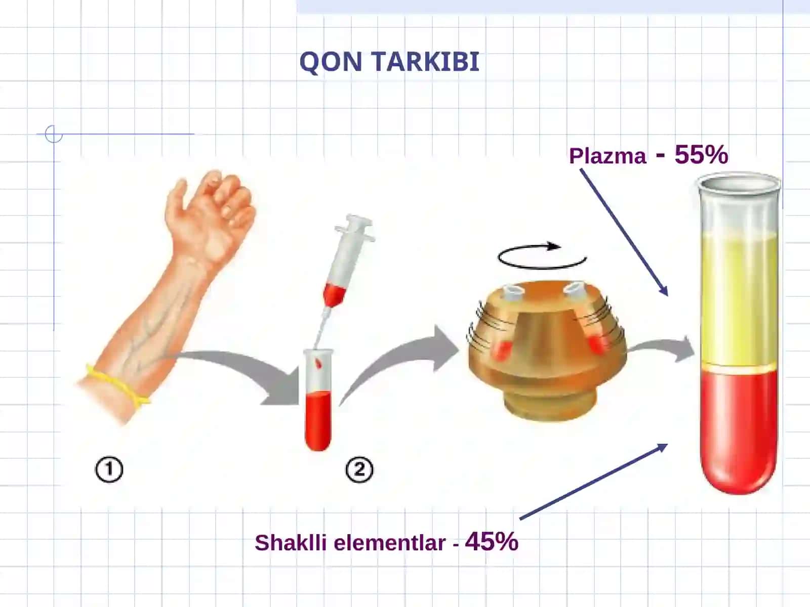Qon va limfa, QON TARKIBI 2
