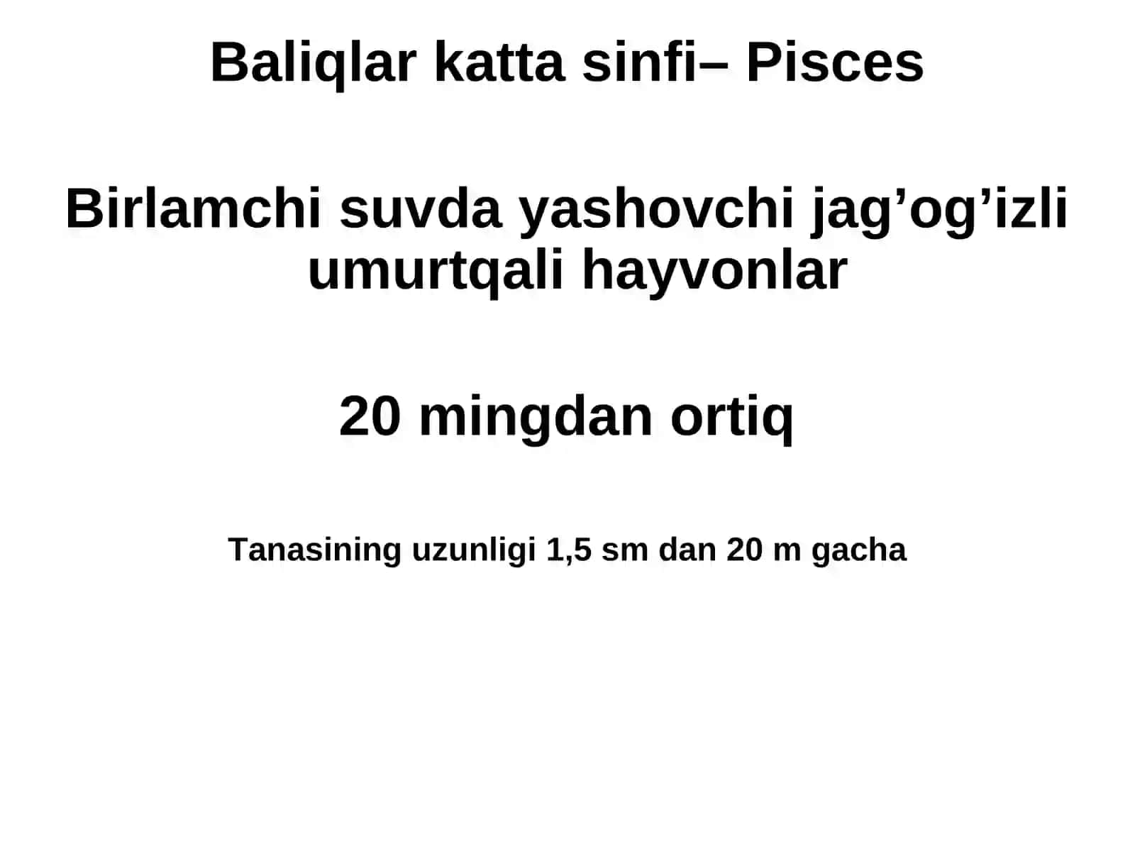 Baliqlar kata sinfi– Pisces 2