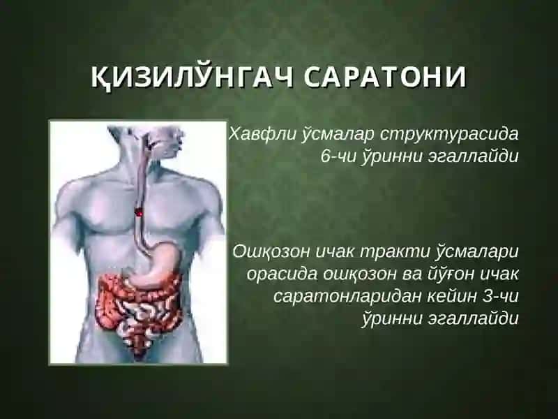 Қизилўнгач саратони 2