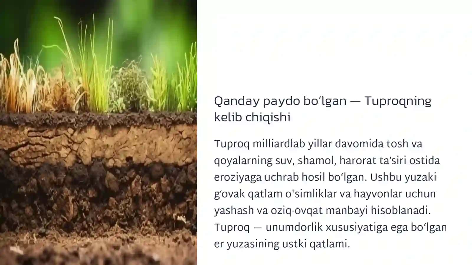 Tuproq resurslari va uning muhofazasi 2