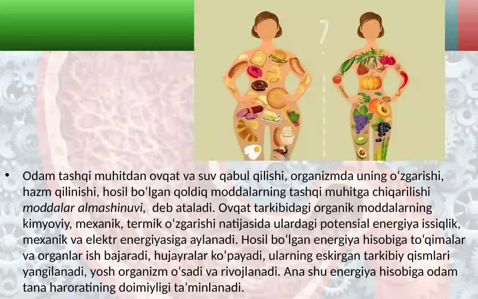 8-sinf Biologiya fanidan Moddalar energiya almashinuvi dars ishlanma 2