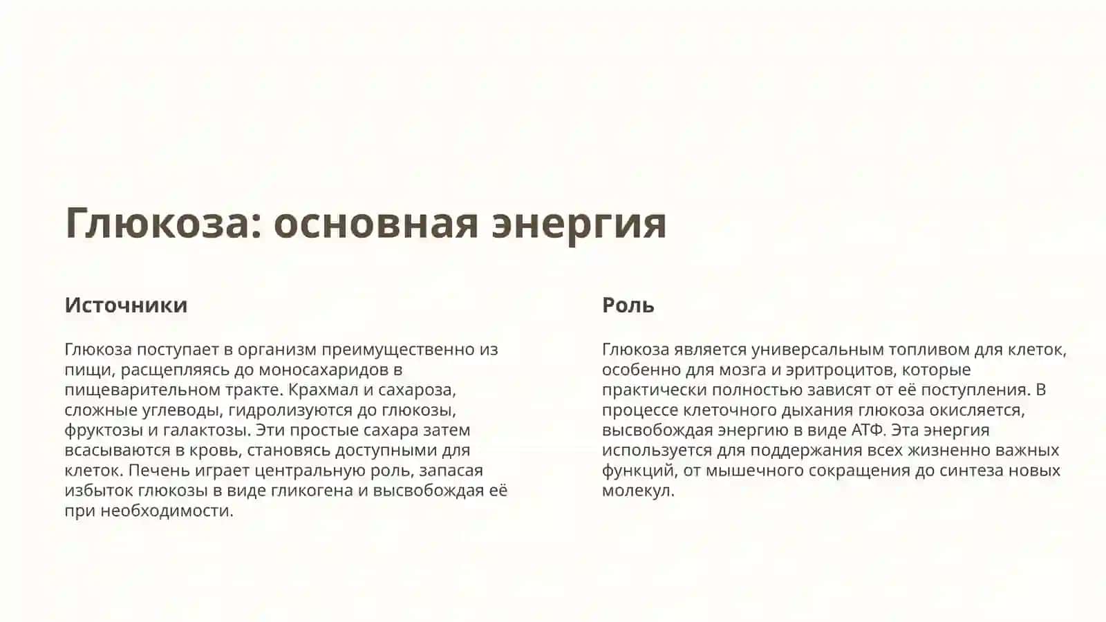 Обмен углеводов: Введение 2