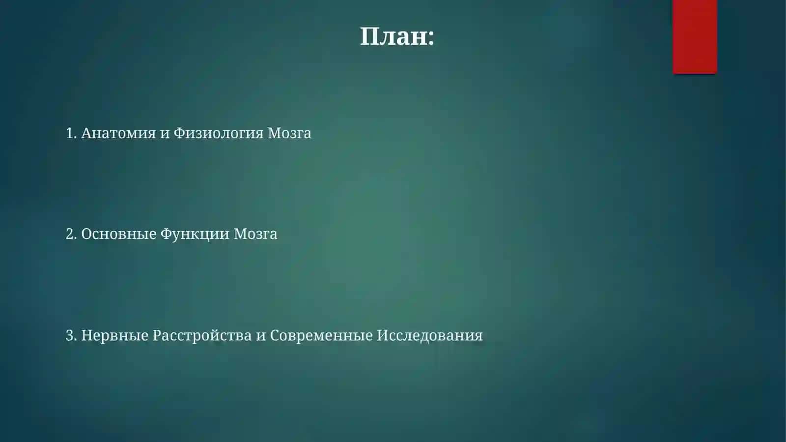 Основные Функции Мозга 2