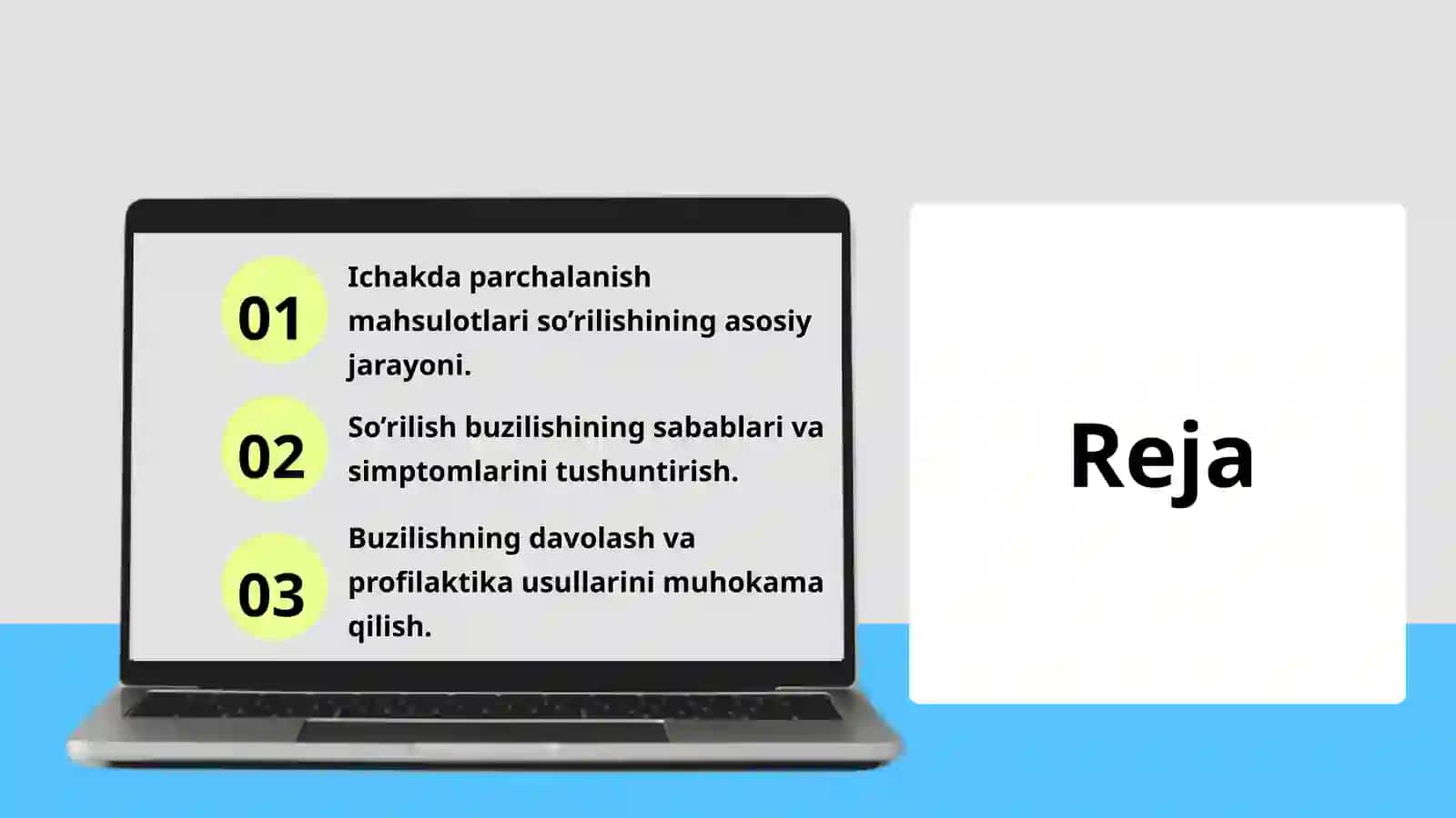 Ingichka ichakda parchalanish mahsulotlari so’rilishining buzilishi 2