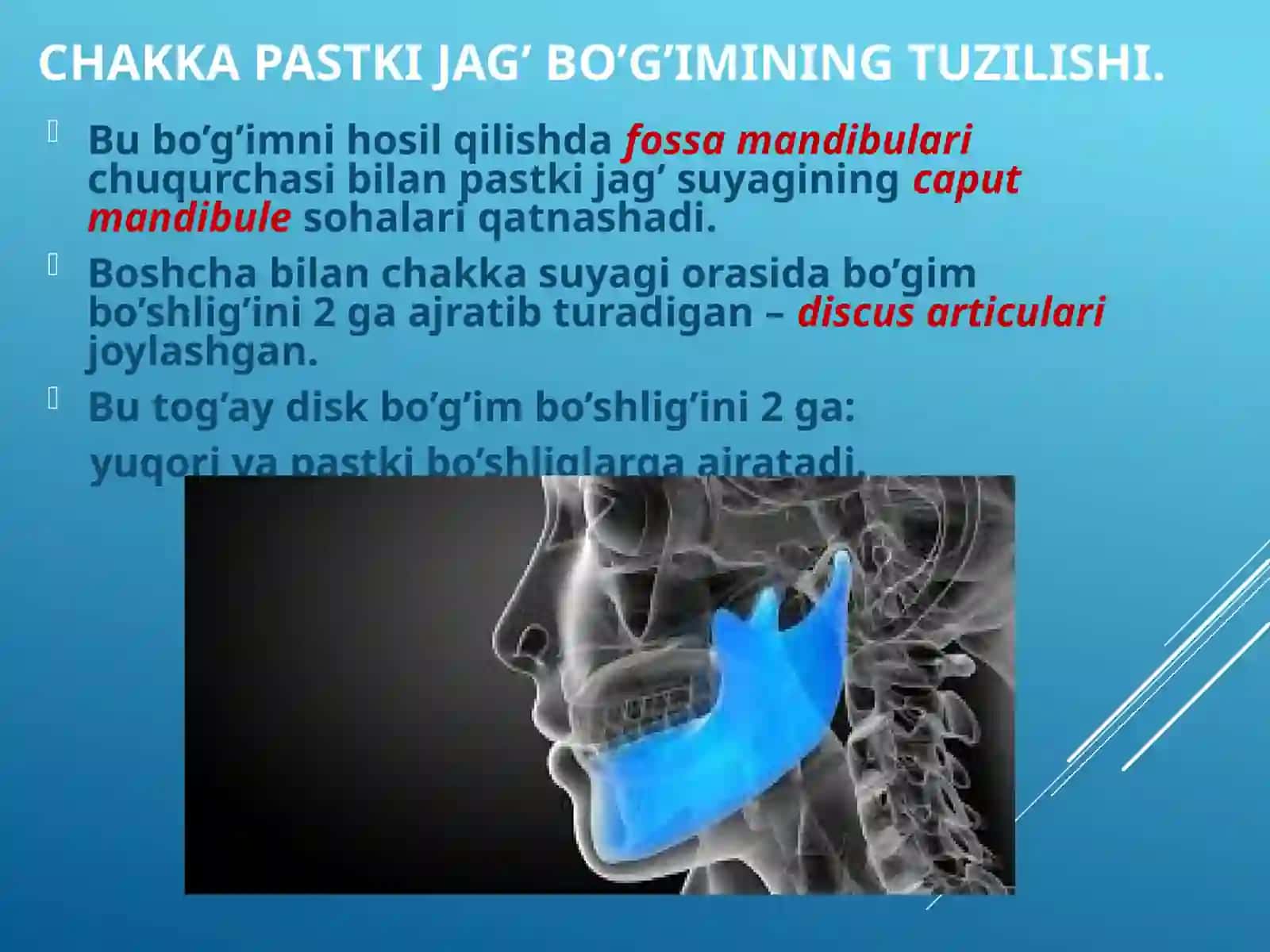 Chakkapastkijag’bo’g’imining(ChPJB)tuzilishxususiyatlari 2