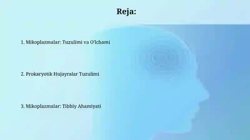Mikoplazmalar: Tuzulimi va O'lchami 2