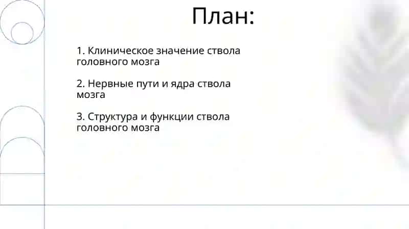 Ствол головного мозга 2