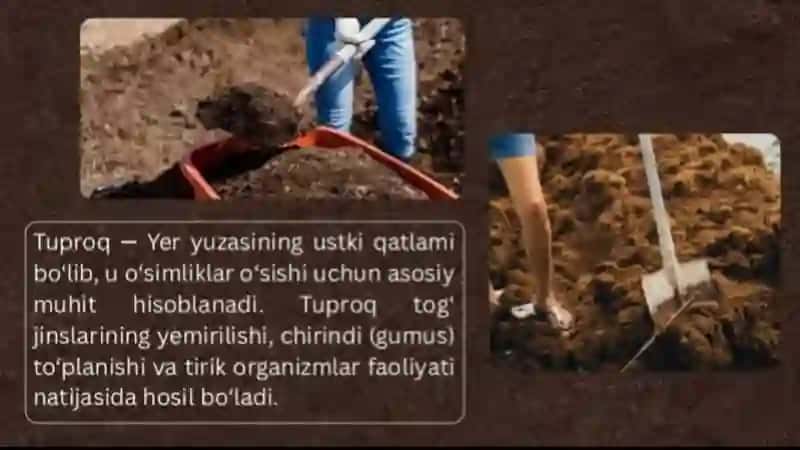 Tuproq va uning tabiiy xususiyatlari 2