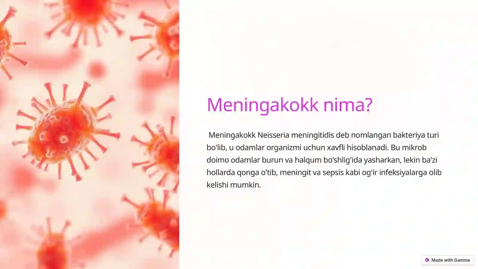 Meningakokk infektsiyasi 2