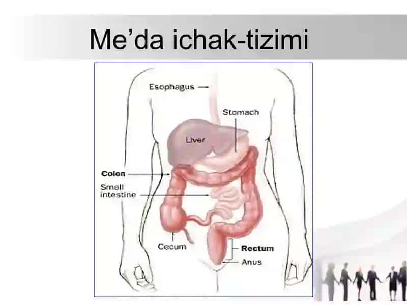 Me’da osti bezi kistalari va oqmalari 2