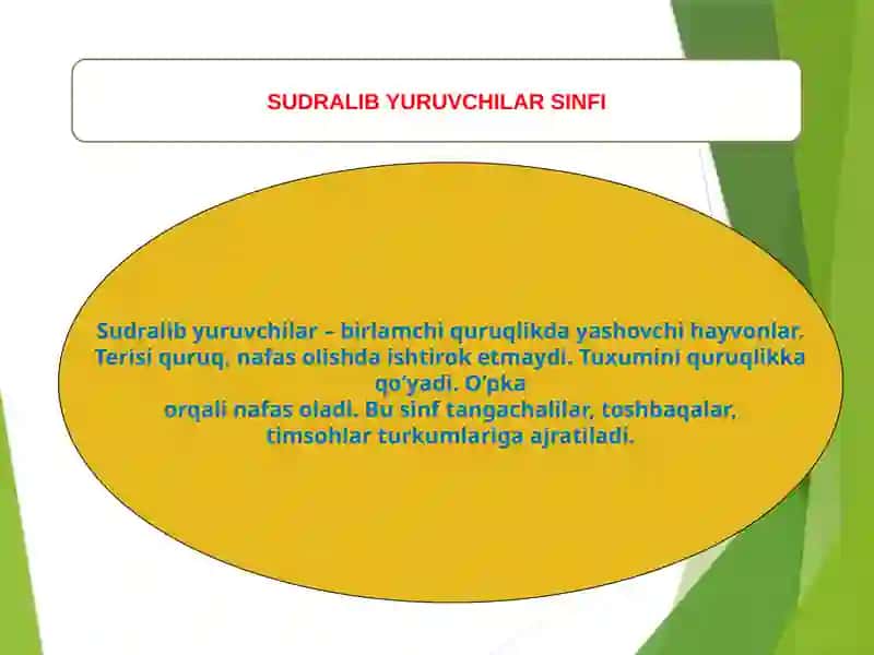 Sudralib yuruvchilar xilma-xilligi 2