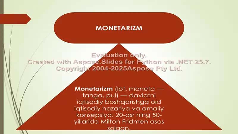 MONETARIZM 2