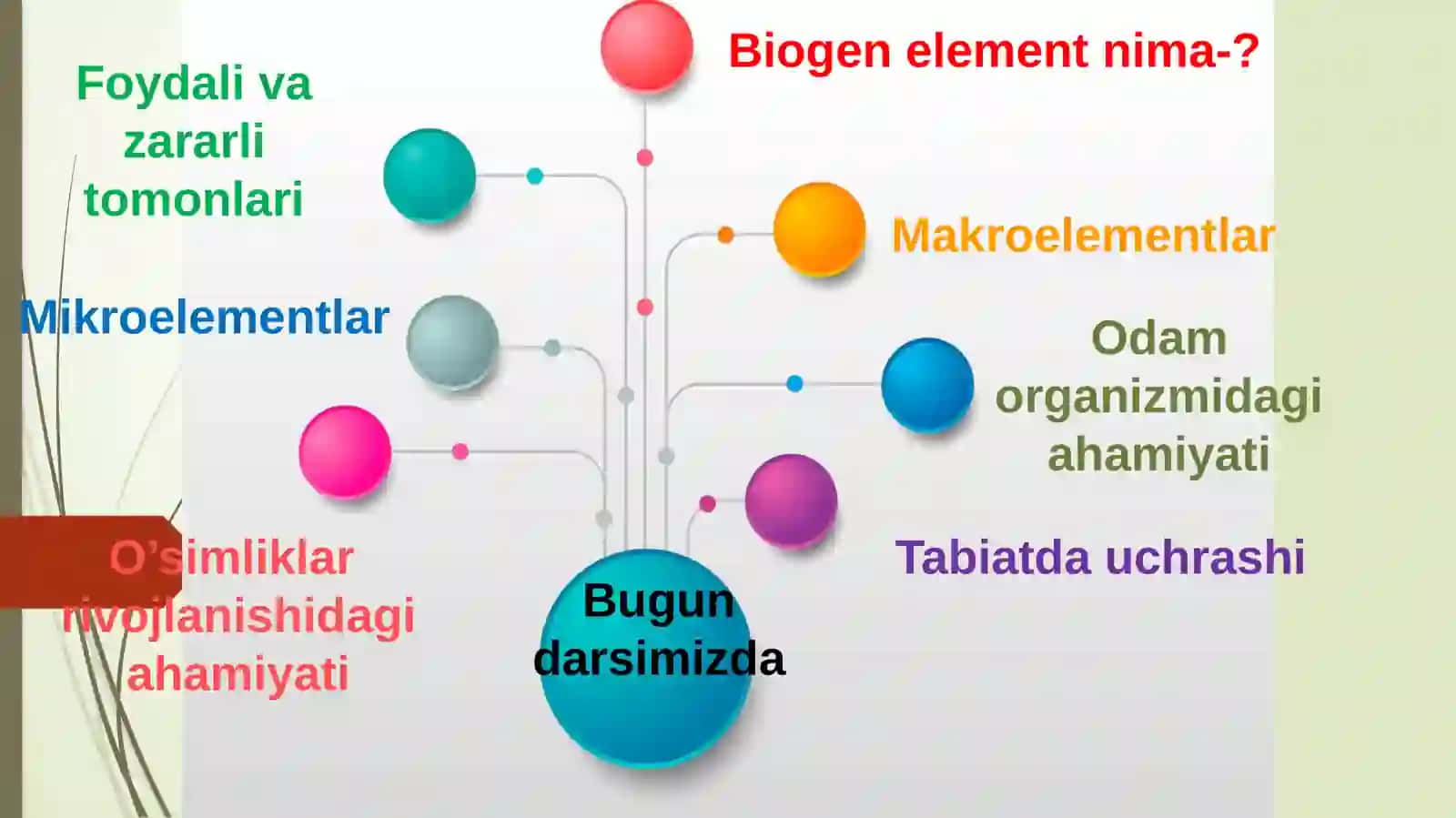 Organizmdagi Biogenelementlar 2