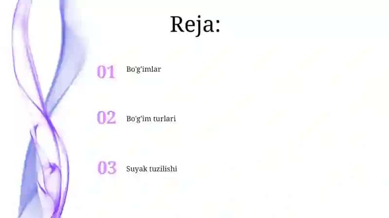 Suyaklar tuzilishi 2