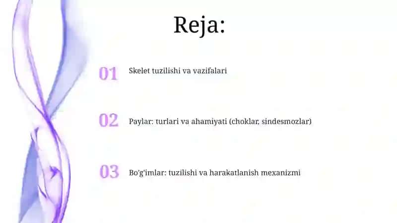 Skelet va uning bo`ylamlari haqida ma'lumot 2