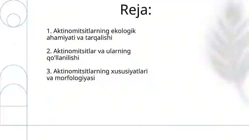 Aktinomitsetlar va ularga yaqin organizmlar 2